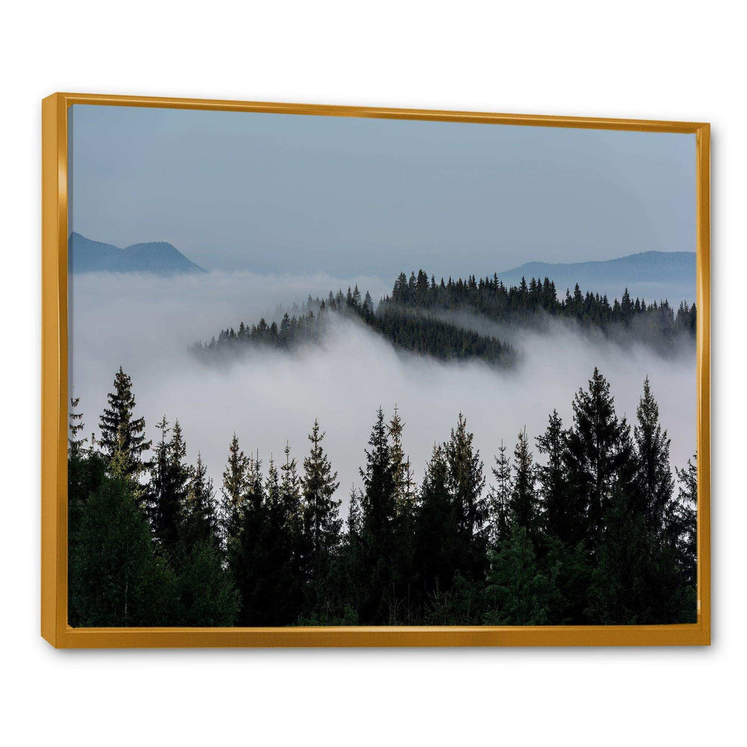 Dark Trees and Fog Over Mountains
