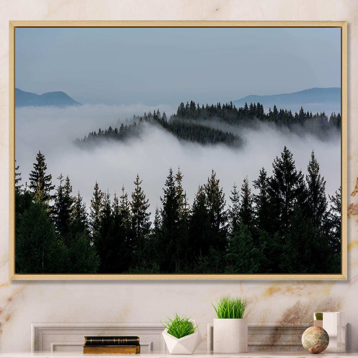 Dark Trees and Fog Over Mountains