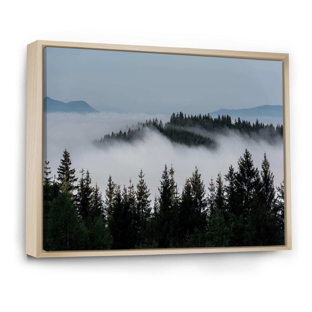 Dark Trees and Fog Over Mountains