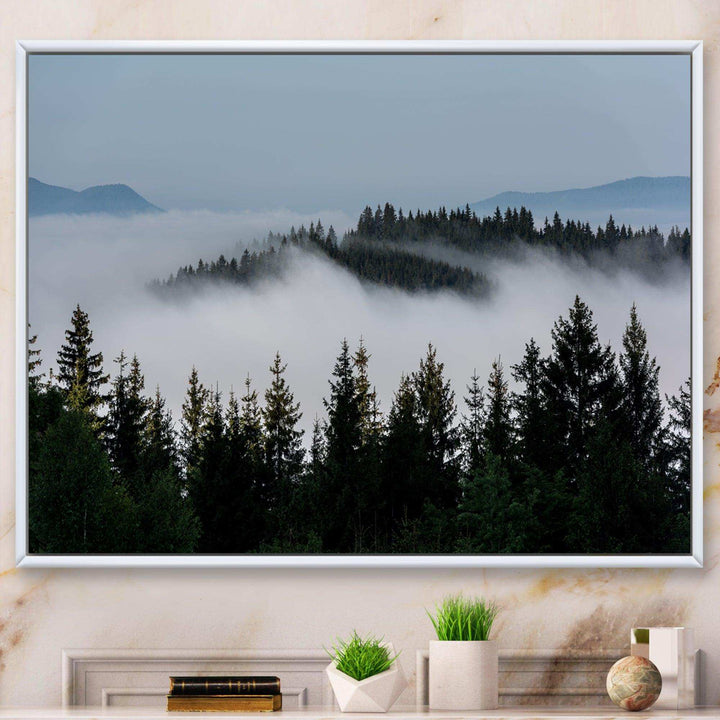 Dark Trees and Fog Over Mountains