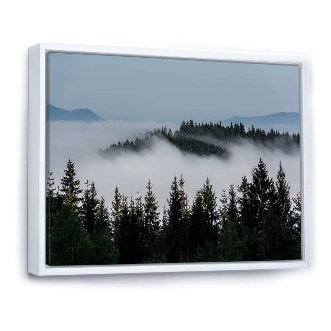 Dark Trees and Fog Over Mountains