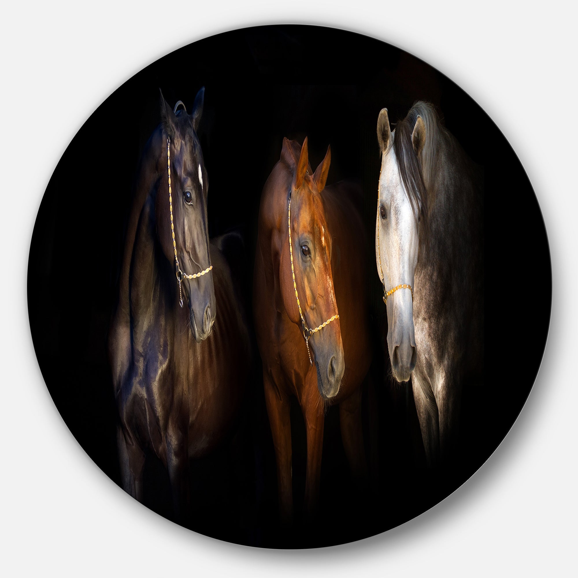 Three Horses with Golden Bridle Disc Animal Metal Circle Wall Art