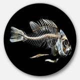 Fish Skeleton Bone on Black Disc Animal Metal Circle Wall Art