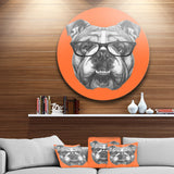 English Bulldog with Glasses Disc Animal Metal Circle Wall Art