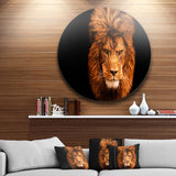 Face of Male Lion on Black Ultra Vibrant Abstract Metal Circle Wall Art