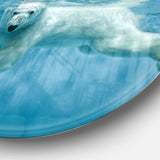 Polar Bear Swimming under Water Disc Large Animal Metal Artwork