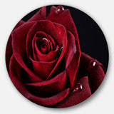 Red Rose with Raindrops on Black Disc Flowers Large Metal Circle Wall Artwork