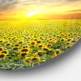Beauty Sunset over Sunflowers Field Disc Floral Metal Circle Wall Art