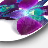 Deep Purple Orchid Flowers on White Disc Flowers Metal Circle Wall Artwork