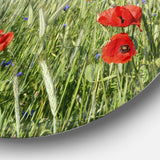 Rural Landscape with Red Poppies Large Landscape Metal Circle Wall Art