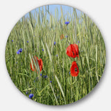 Rural Landscape with Red Poppies Large Landscape Metal Circle Wall Art