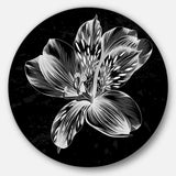Beautiful Monochrome Alstroemeria Flower Extra Large Floral Wall Art