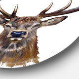 Deer Head in Front Illustration Animal Circle Metal Wall Art