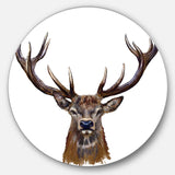 Deer Head in Front Illustration Animal Circle Metal Wall Art