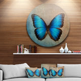 Blue Vintage Butterfly Floral Circle Metal Wall Art