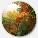 Colorful Maple Trees Disc Floral Photography Circle Metal Wall Art