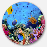 Coral Colony and Coral Fishes Disc Seascape Circle Metal Wall Art
