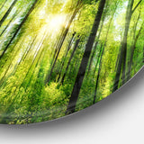 Forest with Rays of Sun Panorama Disc Landscape Circle Metal Wall Art
