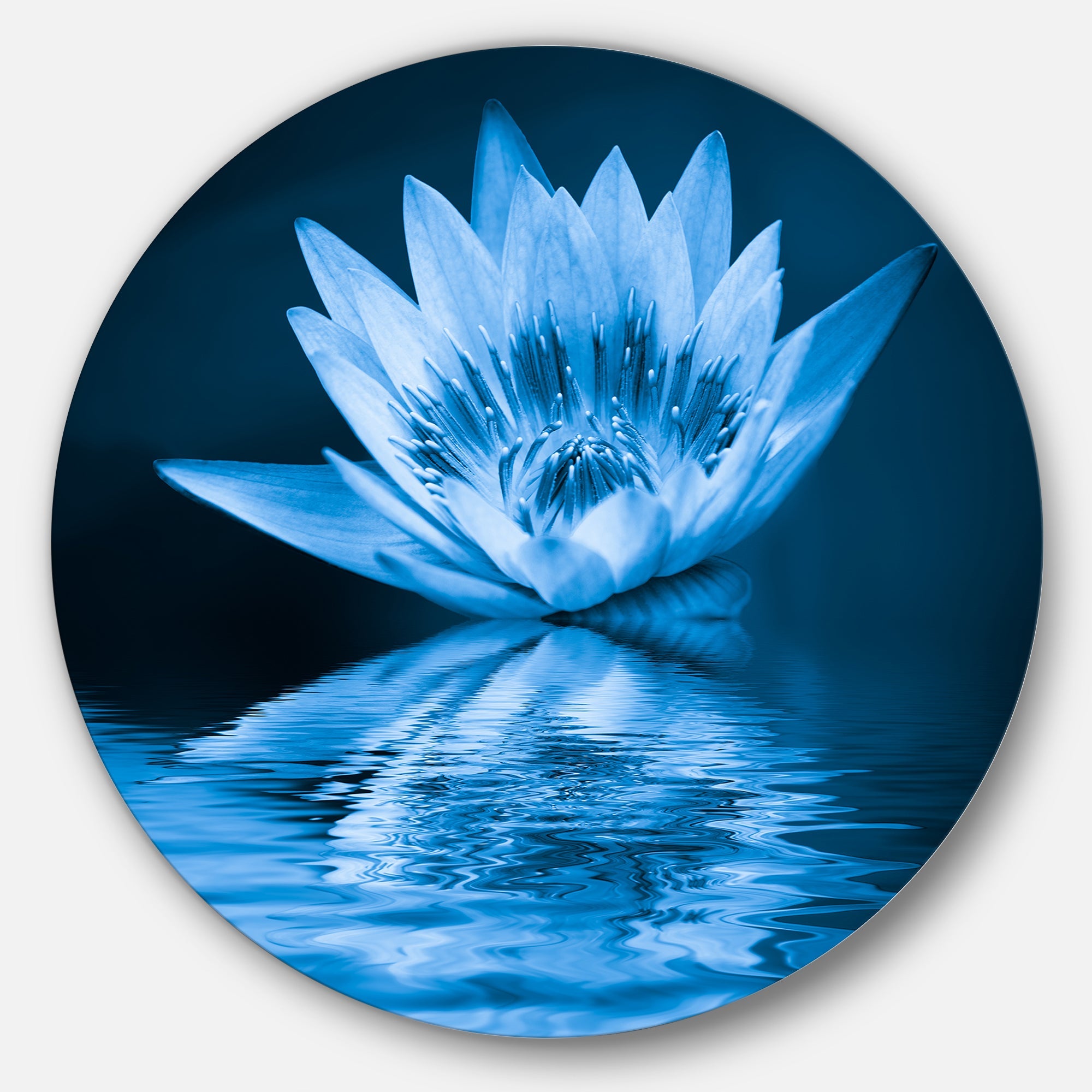 Blue Water Lily Floral Circle Metal Wall Art