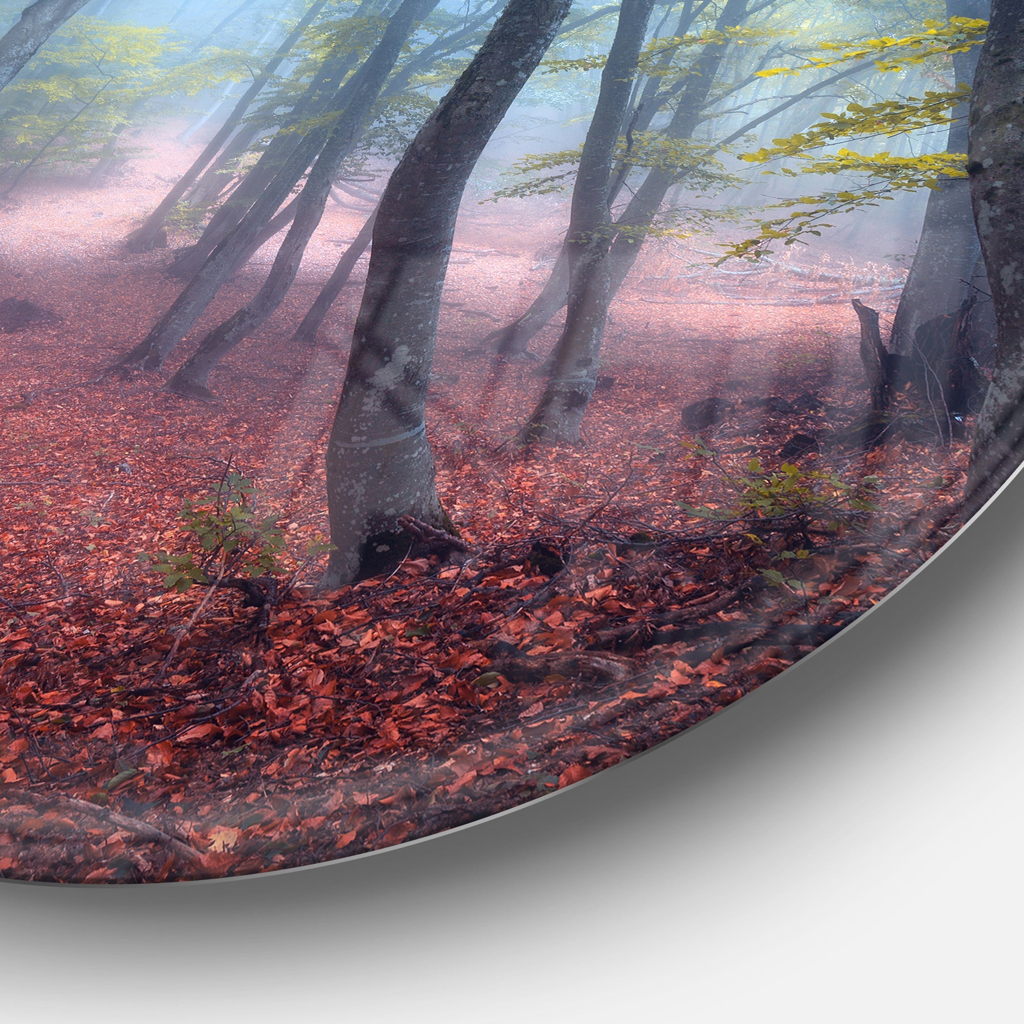 Mysterious Fairytale Green Wood Landscape Photography Circle Metal Wall Art