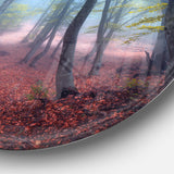 Mysterious Fairytale Green Wood Landscape Photography Circle Metal Wall Art