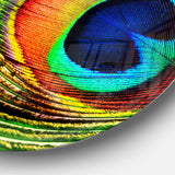 Peacock Feather Photography Circle Metal Wall Art