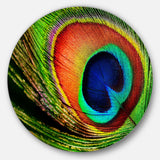 Peacock Feather Photography Circle Metal Wall Art