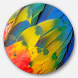 Scarlet Macaw Feathers Photography Circle Metal Wall Art