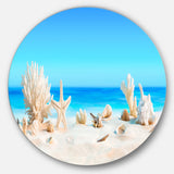 Seashells on Tropical Beach Seashore Photo Circle Metal Wall Art