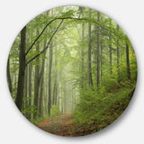 Early Green Fall Forest Landscape Photo Circle Metal Wall Art