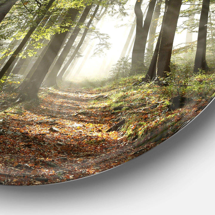 Green Fall Forest with Sun Rays - Landscape Photography Circle Metal Wall Decor