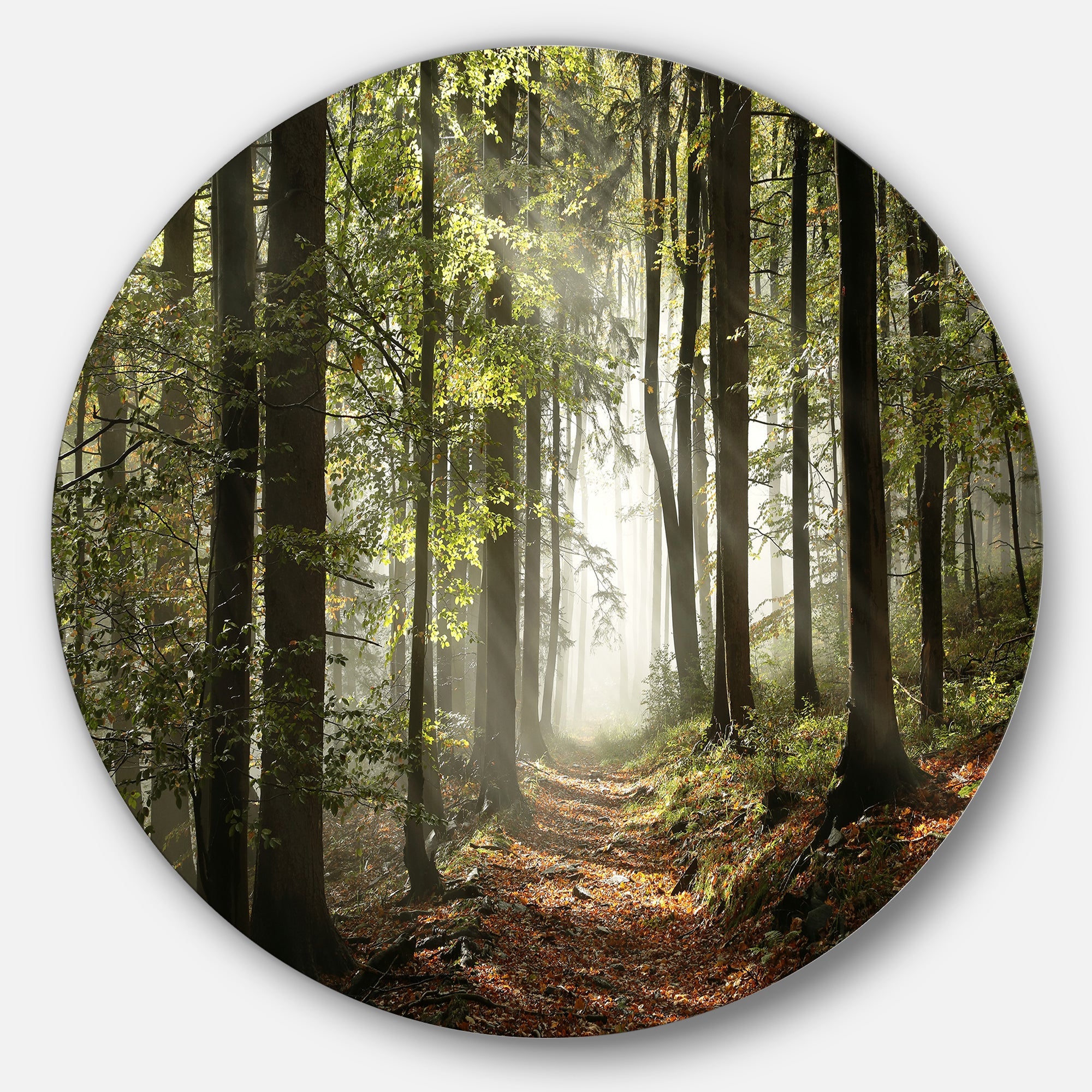 Green Fall Forest with Sun Rays Landscape Photography Circle Metal Wall Art