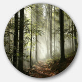Light in Dense Fall Forest with Fog Ultra Vibrant Landscape Oversized Circle Wall Art