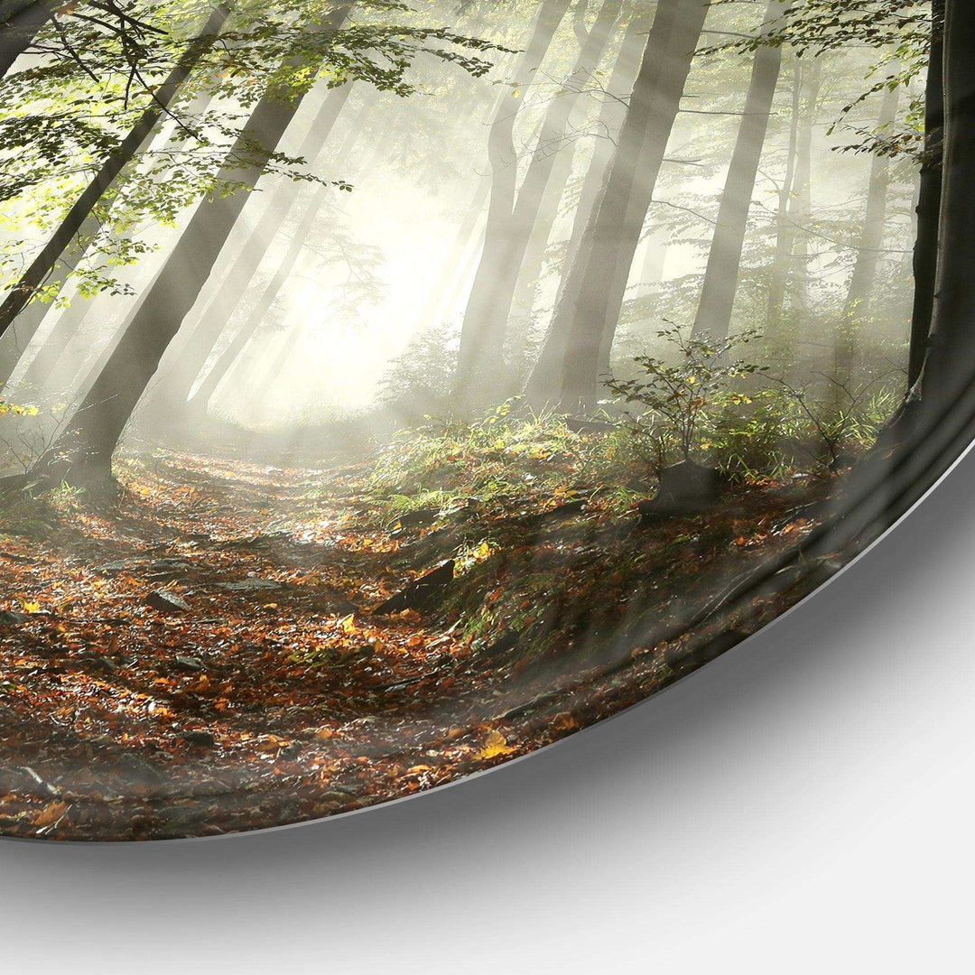Light in Dense Fall Forest with Fog - Landscape Large Metal Circle Wall Art