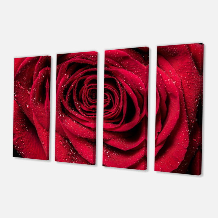 Red Rose Petals with Rain Droplets Multi-Panels