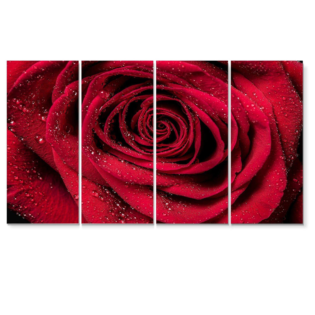 Red Rose Petals with Rain Droplets Multi-Panels
