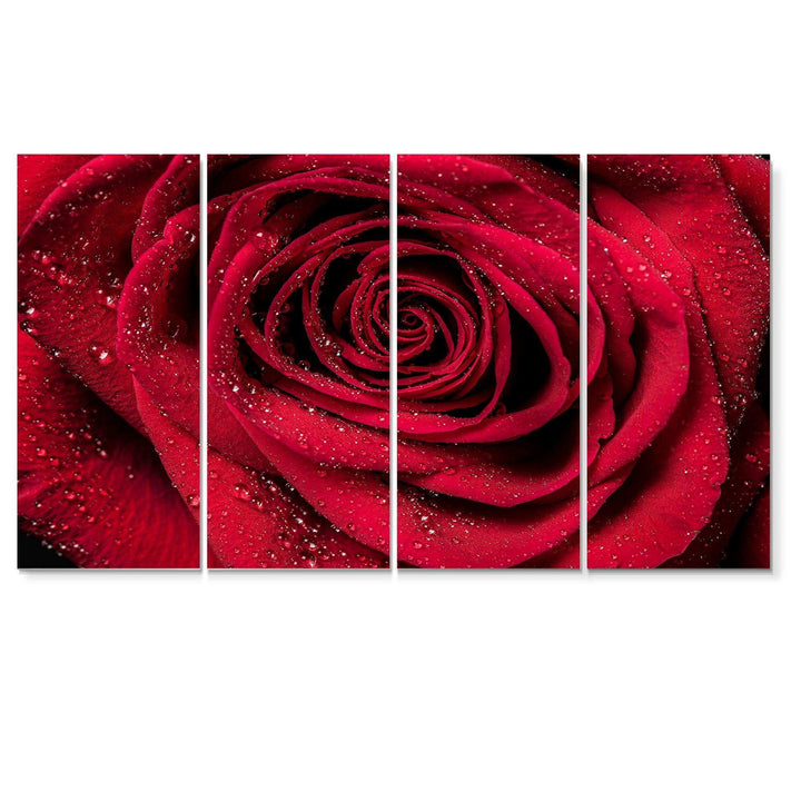 Red Rose Petals with Rain Droplets Multi-Panels