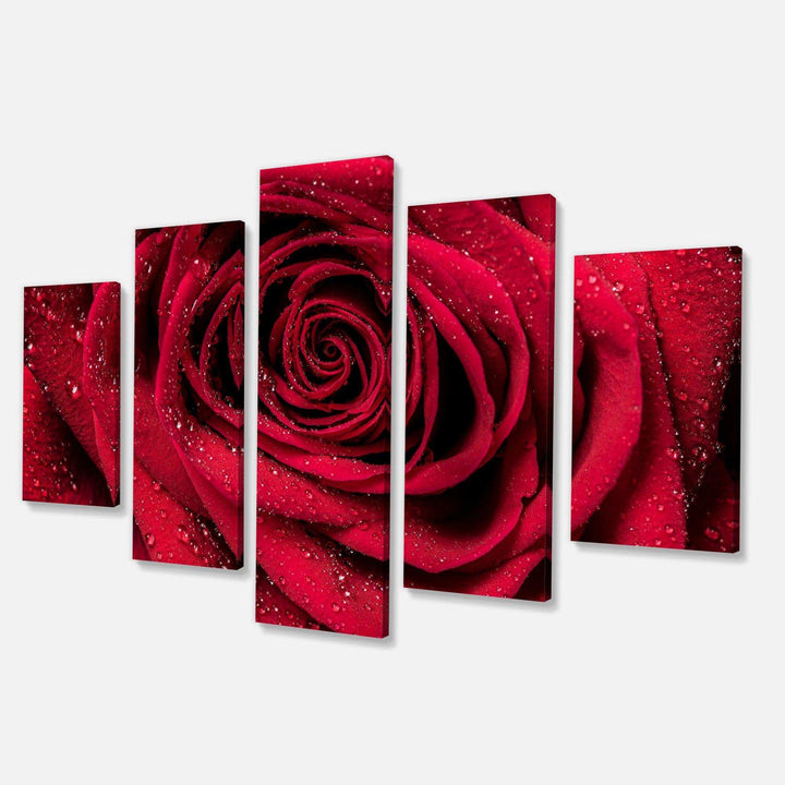 Red Rose Petals with Rain Droplets Multi-Panels