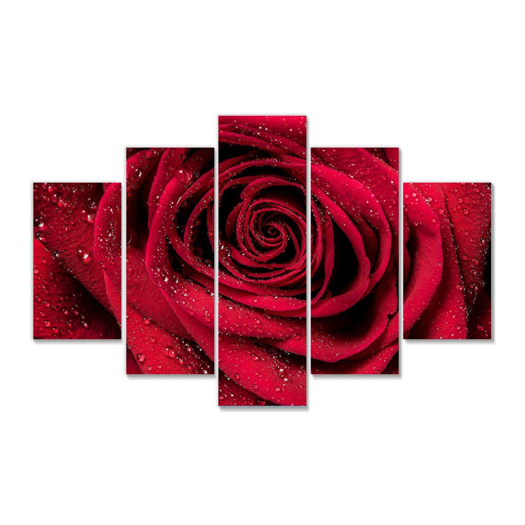 Red Rose Petals with Rain Droplets Multi-Panels