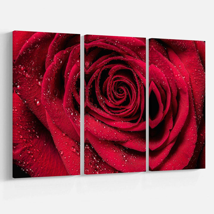 Red Rose Petals with Rain Droplets Multi-Panels