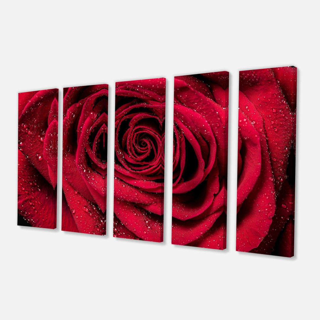 Red Rose Petals with Rain Droplets Multi-Panels