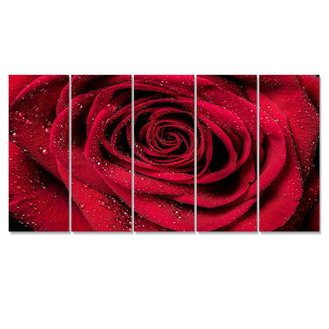 Red Rose Petals with Rain Droplets Multi-Panels