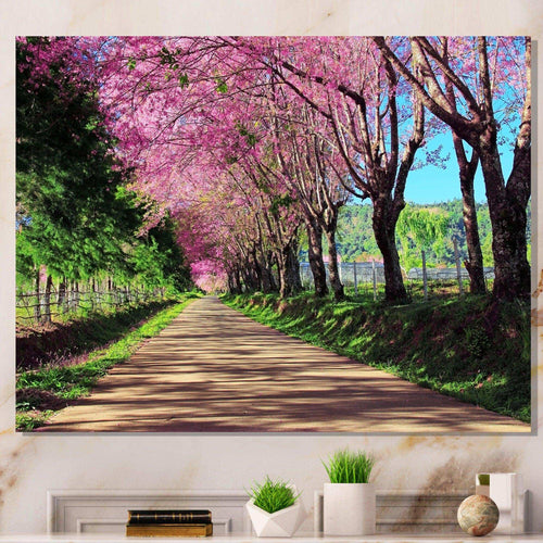 Cherry Blossom Pathway in Chiang Mai
