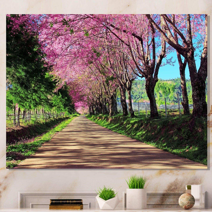 Cherry Blossom Pathway in Chiang Mai
