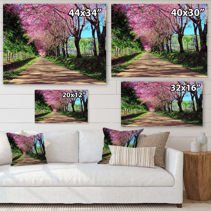 Cherry Blossom Pathway in Chiang Mai