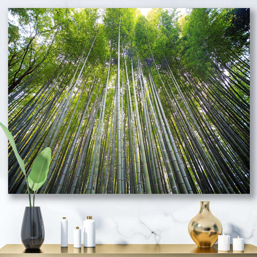 Bamboo forest of Kyoto Japan.