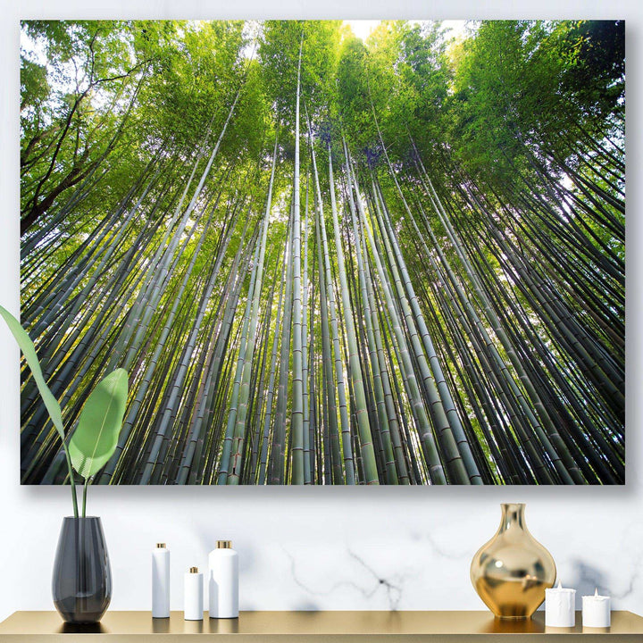 Bamboo forest of Kyoto Japan.