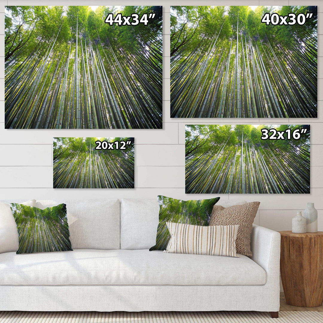 Bamboo forest of Kyoto Japan.