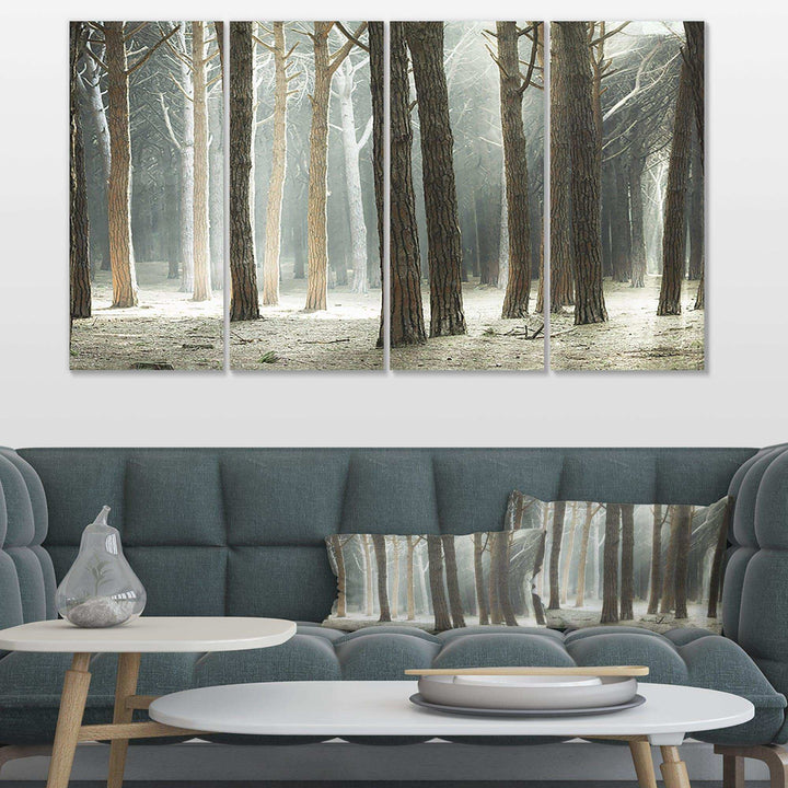 Maritime Pine Tree Forest with Rays Multi-Panels