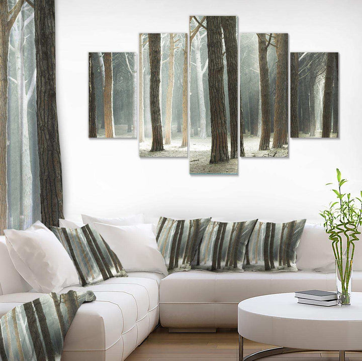 Maritime Pine Tree Forest with Rays Multi-Panels
